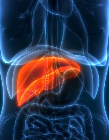 What is liver cancer - Symptoms of liver cancer